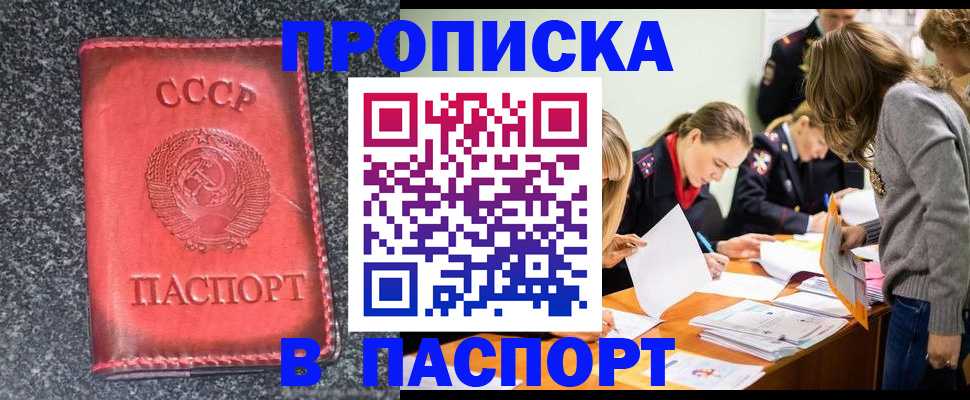 прописка для школы в Каргополе